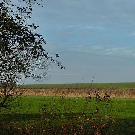 Deichbrise Holiday home
