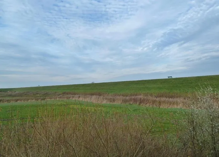 Deichbrise * 特希尔