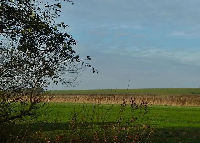 Deichbrise 度假居